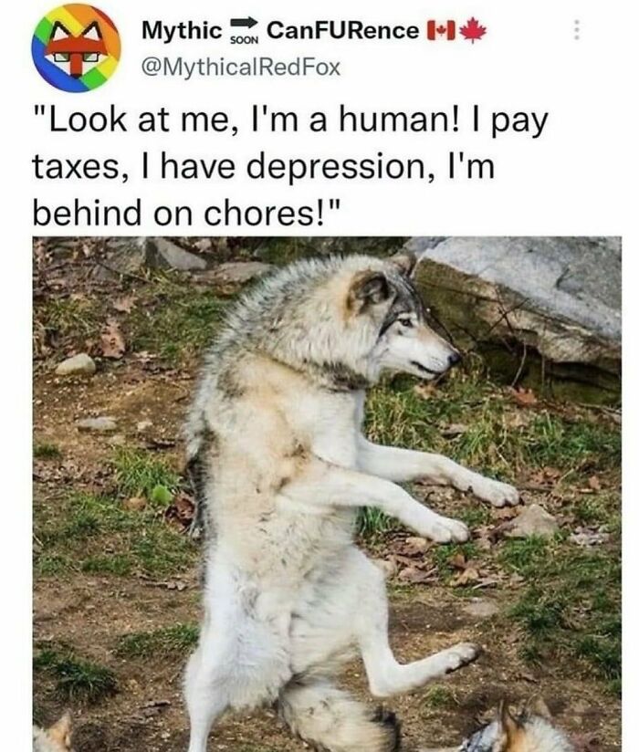 50 Hilarious Memes That Antisocial People Will Find Relatable, As Shared By The “Fear Of Going Out” Instagram Page (New Pics) 50 Hilarious Memes That Antisocial People Will Find Relatable, As Shared By The “Fear Of Going Out” Instagram Page (New Pics)