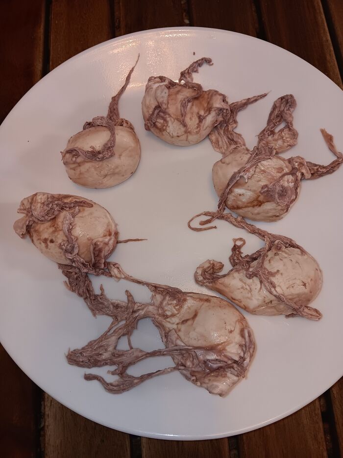 50 “Oddly Terrifying” Pictures That May Leave Your Bowels Dropping In Fear (New Pics) 50 “Oddly Terrifying” Pictures That May Leave Your Bowels Dropping In Fear (New Pics)