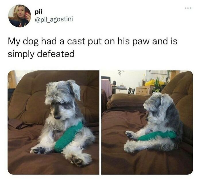 50 Memes To Bring A Taste Of British Humor To Your Screen (New Pics) 50 Memes To Bring A Taste Of British Humor To Your Screen (New Pics)