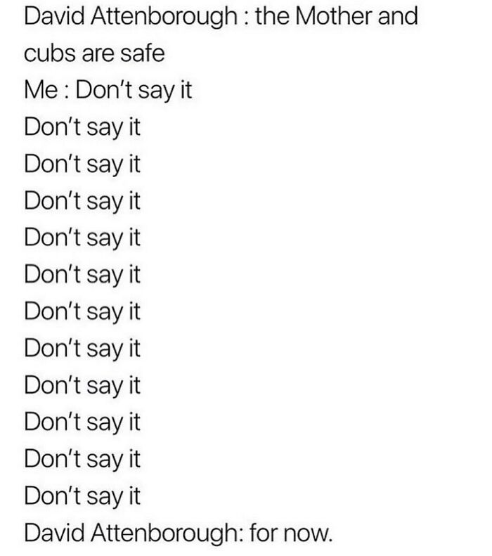 50 Memes To Bring A Taste Of British Humor To Your Screen (New Pics) 50 Memes To Bring A Taste Of British Humor To Your Screen (New Pics)