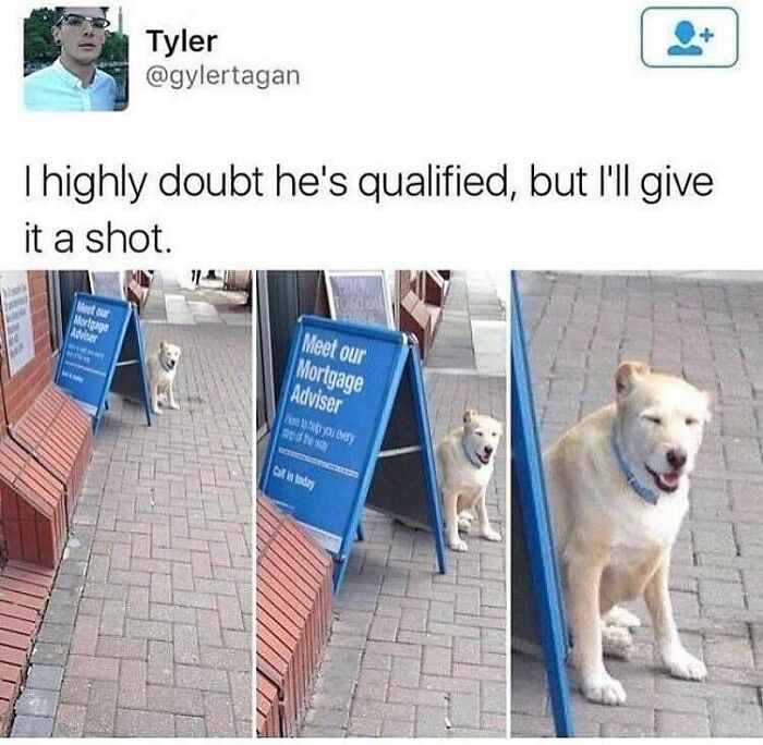 50 Memes To Bring A Taste Of British Humor To Your Screen (New Pics) 50 Memes To Bring A Taste Of British Humor To Your Screen (New Pics)