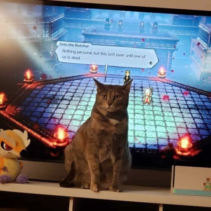 The “Things That Are Not Aesthetic” Facebook Page Is Collecting Some Of The Most Bizarre Images Out There, And Here Are 50 Of The Worst (New Pics) The “Things That Are Not Aesthetic” Facebook Page Is Collecting Some Of The Most Bizarre Images Out There, And Here Are 50 Of The Worst (New Pics)