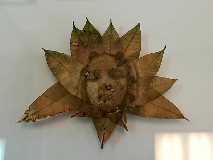 30 Unique And Interesting Photos To Give You A New Perspective On Photography, As Shared On This FB Group 30 Unique And Interesting Photos To Give You A New Perspective On Photography, As Shared On This FB Group