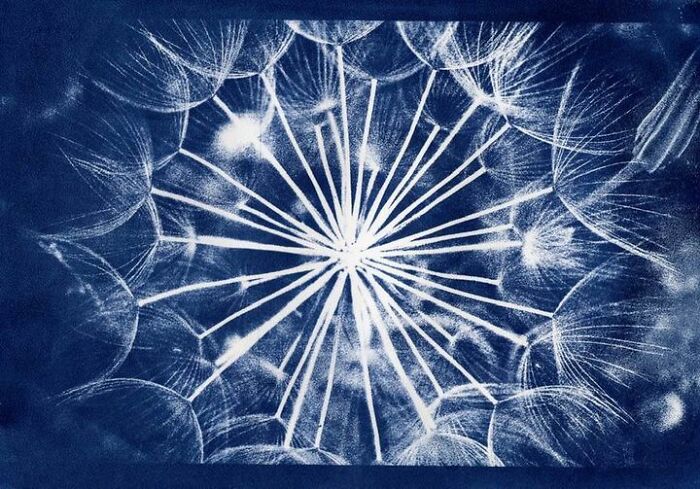 30 Unique And Interesting Photos To Give You A New Perspective On Photography, As Shared On This FB Group 30 Unique And Interesting Photos To Give You A New Perspective On Photography, As Shared On This FB Group