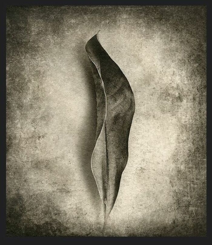 30 Unique And Interesting Photos To Give You A New Perspective On Photography, As Shared On This FB Group 30 Unique And Interesting Photos To Give You A New Perspective On Photography, As Shared On This FB Group