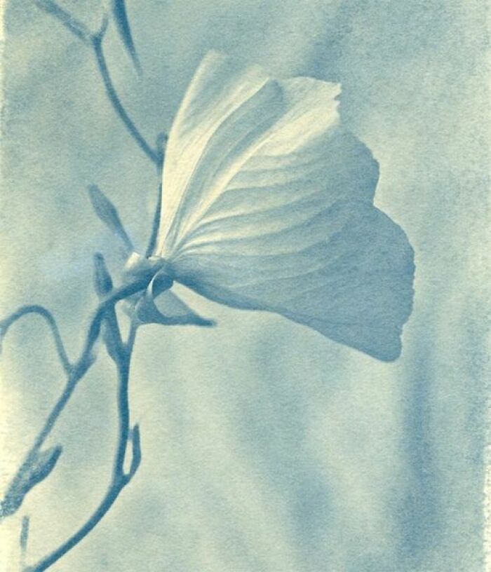 30 Unique And Interesting Photos To Give You A New Perspective On Photography, As Shared On This FB Group 30 Unique And Interesting Photos To Give You A New Perspective On Photography, As Shared On This FB Group