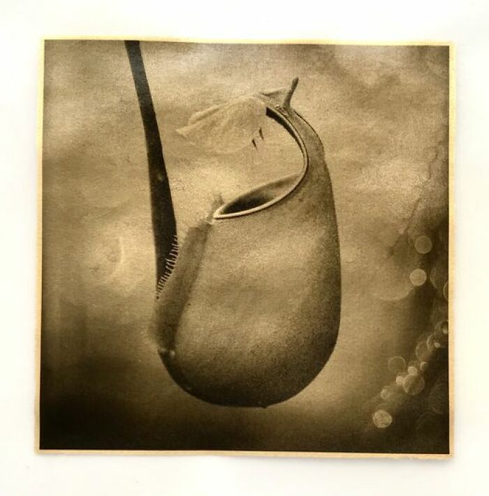 30 Unique And Interesting Photos To Give You A New Perspective On Photography, As Shared On This FB Group 30 Unique And Interesting Photos To Give You A New Perspective On Photography, As Shared On This FB Group