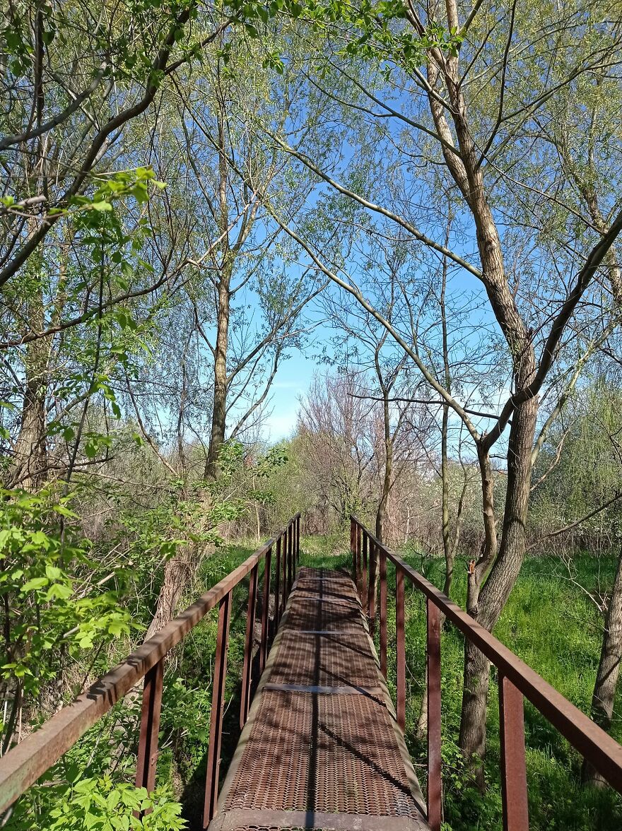 The Second Year Of The War In Ukraine Is Also The Second Year Of My Life As An Artist In These Times (18 Pics) The Second Year Of The War In Ukraine Is Also The Second Year Of My Life As An Artist In These Times (18 Pics)