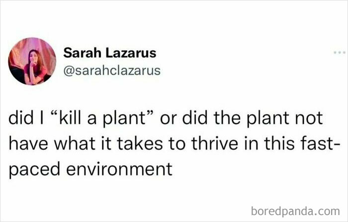 50 Memes To Help You Cope With Life Through Sarcasm, Courtesy Of This IG Page 50 Memes To Help You Cope With Life Through Sarcasm, Courtesy Of This IG Page