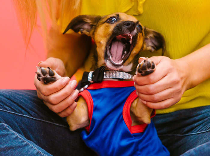 &ldquo;[Am I The Jerk] For Refusing To Bring My Daughter To Her Grandparents&rsquo; House On Thanksgiving?&rdquo;