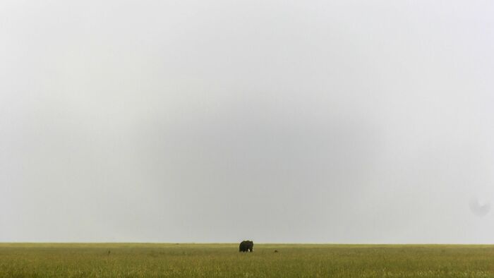 People Online Share 35 Pictures, Which Prove That Sometimes Less Is More