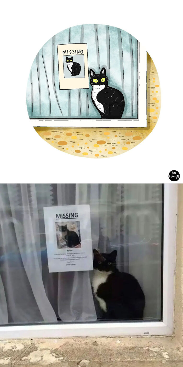 35 Already Famous Internet Pics Get Transformed Into Even Funnier Cartoons By Tactooncat (New Pics) 35 Already Famous Internet Pics Get Transformed Into Even Funnier Cartoons By Tactooncat (New Pics)