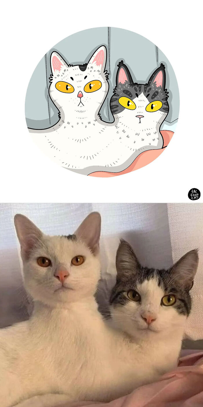 35 Already Famous Internet Pics Get Transformed Into Even Funnier Cartoons By Tactooncat (New Pics) 35 Already Famous Internet Pics Get Transformed Into Even Funnier Cartoons By Tactooncat (New Pics)