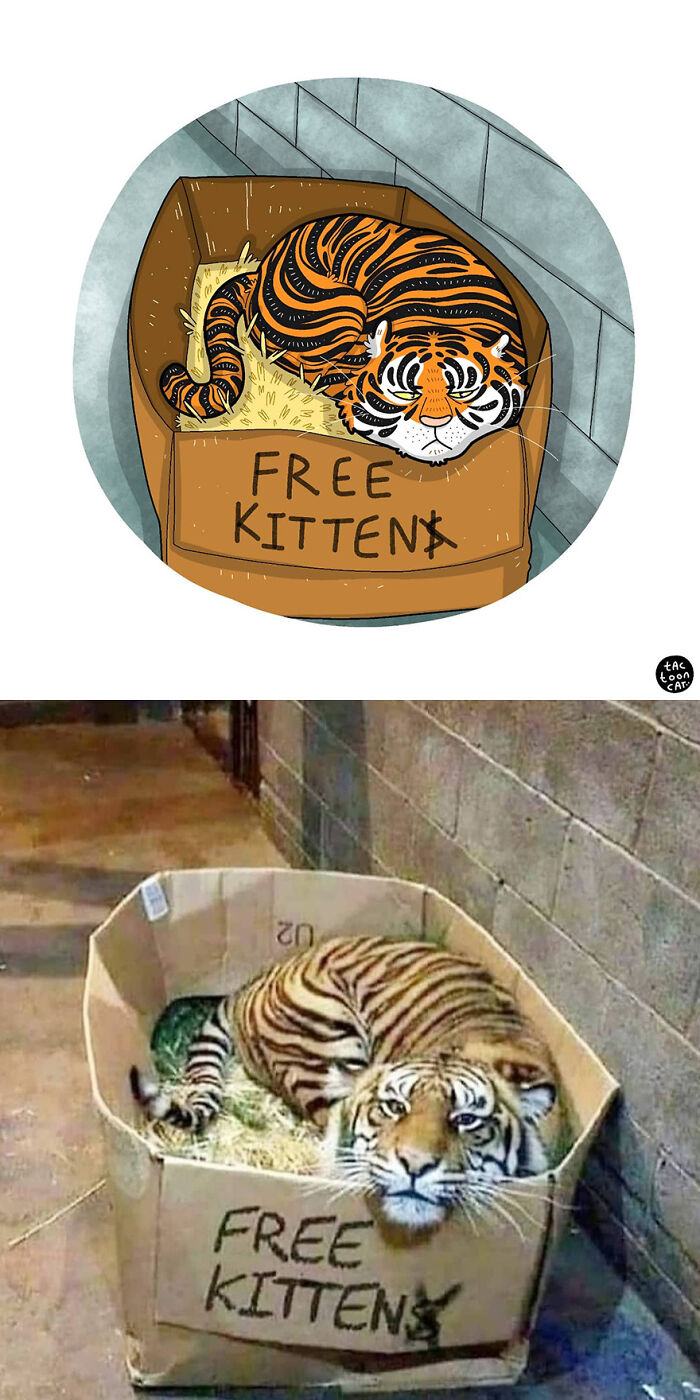 35 Already Famous Internet Pics Get Transformed Into Even Funnier Cartoons By Tactooncat (New Pics) 35 Already Famous Internet Pics Get Transformed Into Even Funnier Cartoons By Tactooncat (New Pics)