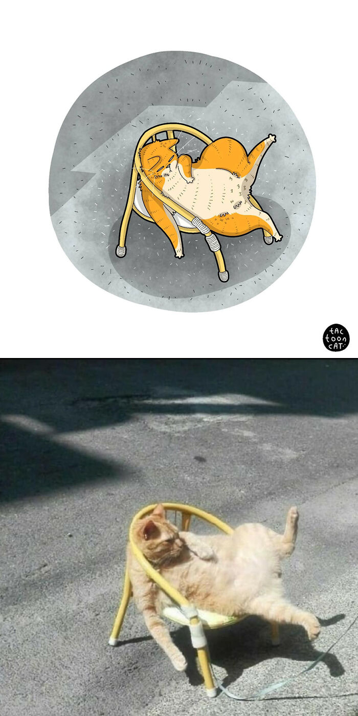 35 Already Famous Internet Pics Get Transformed Into Even Funnier Cartoons By Tactooncat (New Pics) 35 Already Famous Internet Pics Get Transformed Into Even Funnier Cartoons By Tactooncat (New Pics)