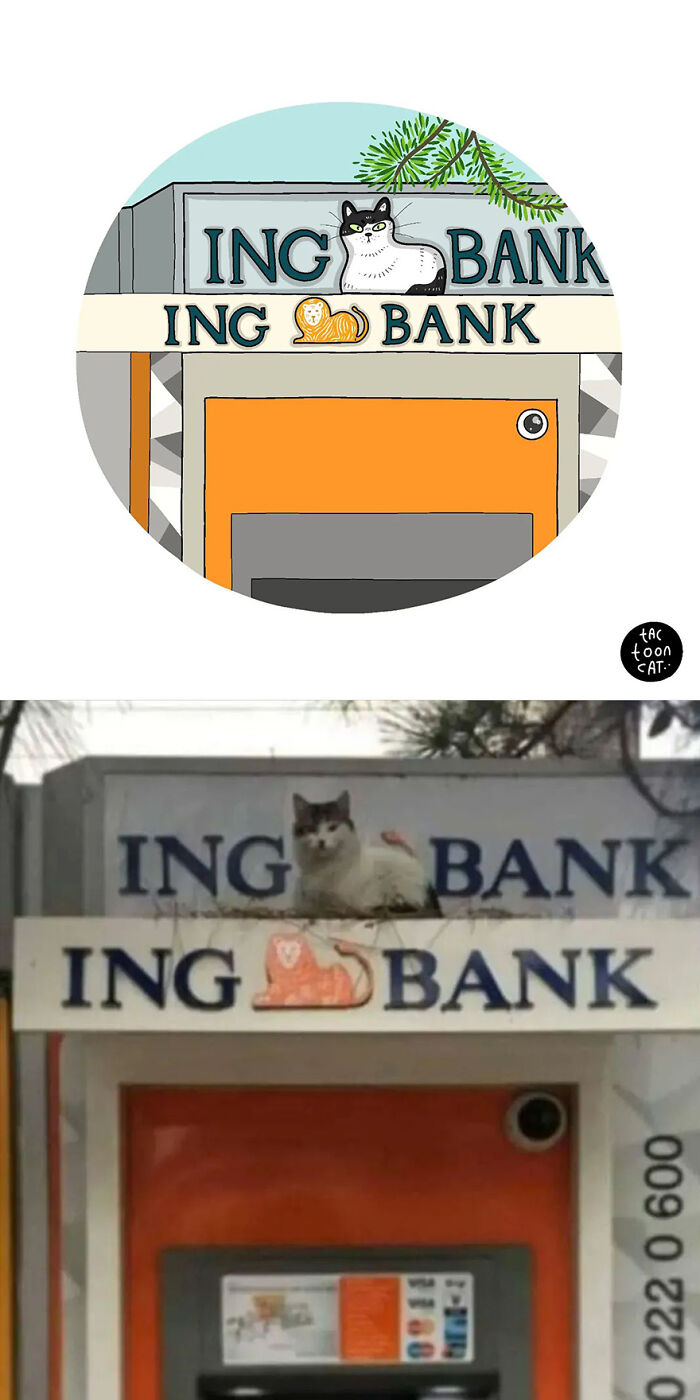 35 Already Famous Internet Pics Get Transformed Into Even Funnier Cartoons By Tactooncat (New Pics) 35 Already Famous Internet Pics Get Transformed Into Even Funnier Cartoons By Tactooncat (New Pics)