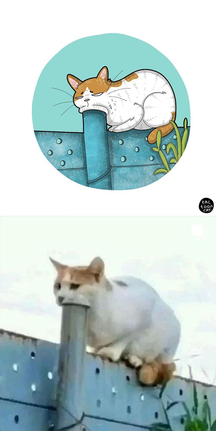 35 Already Famous Internet Pics Get Transformed Into Even Funnier Cartoons By Tactooncat (New Pics) 35 Already Famous Internet Pics Get Transformed Into Even Funnier Cartoons By Tactooncat (New Pics)