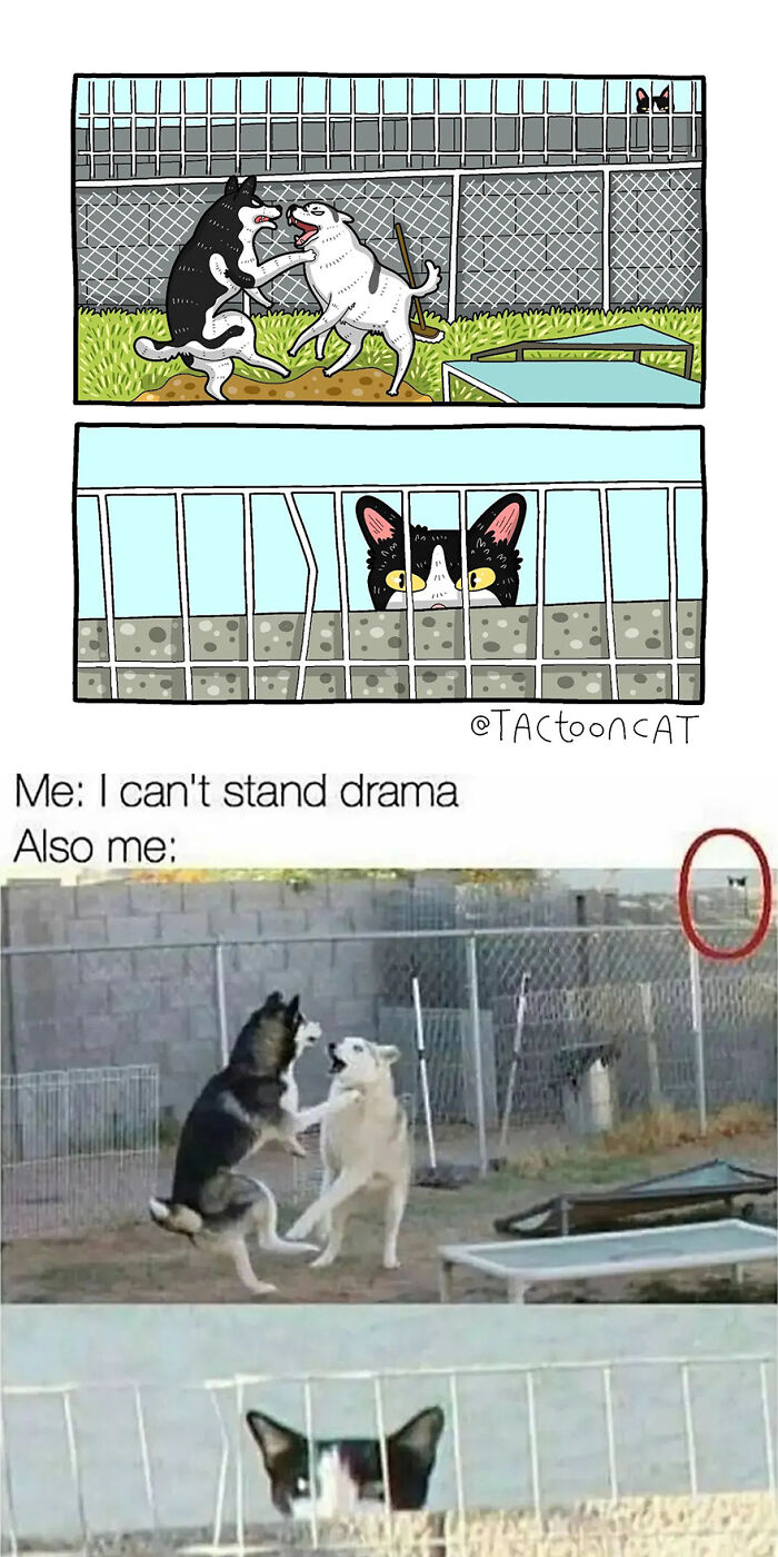 35 Already Famous Internet Pics Get Transformed Into Even Funnier Cartoons By Tactooncat (New Pics) 35 Already Famous Internet Pics Get Transformed Into Even Funnier Cartoons By Tactooncat (New Pics)