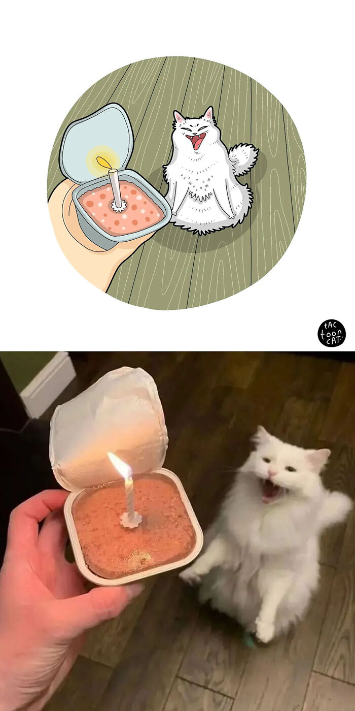 35 Already Famous Internet Pics Get Transformed Into Even Funnier Cartoons By Tactooncat (New Pics) 35 Already Famous Internet Pics Get Transformed Into Even Funnier Cartoons By Tactooncat (New Pics)