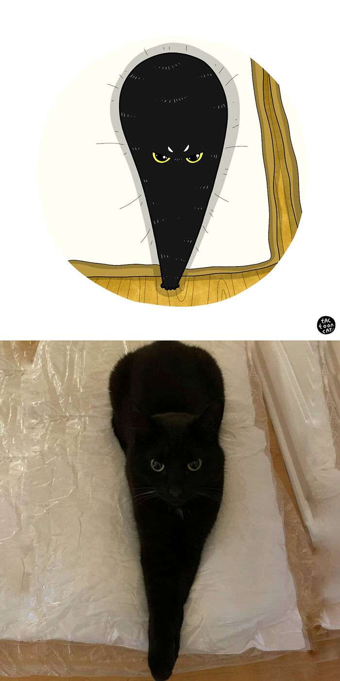 35 Already Famous Internet Pics Get Transformed Into Even Funnier Cartoons By Tactooncat (New Pics) 35 Already Famous Internet Pics Get Transformed Into Even Funnier Cartoons By Tactooncat (New Pics)