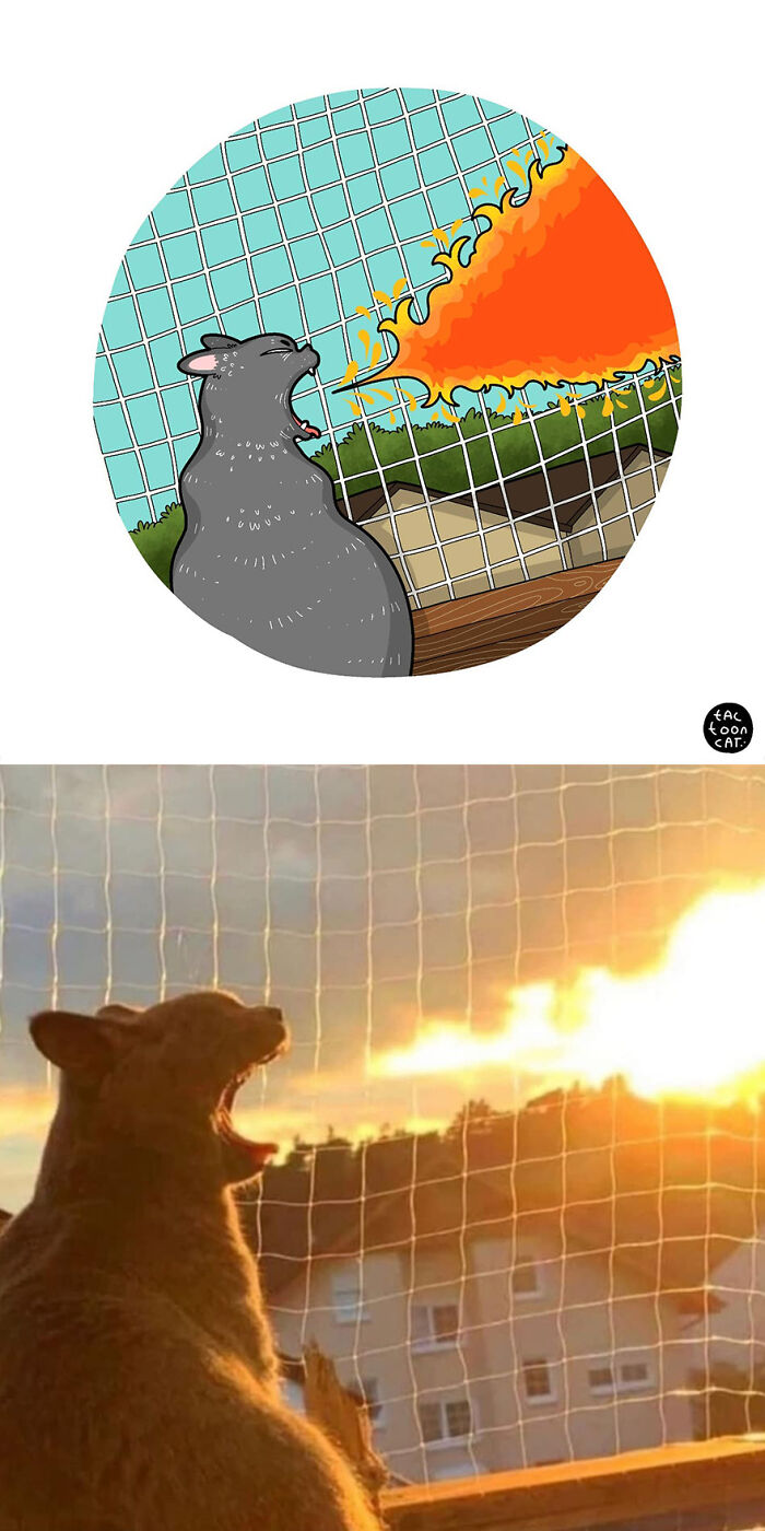 35 Already Famous Internet Pics Get Transformed Into Even Funnier Cartoons By Tactooncat (New Pics) 35 Already Famous Internet Pics Get Transformed Into Even Funnier Cartoons By Tactooncat (New Pics)