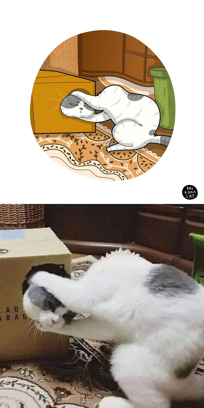 35 Already Famous Internet Pics Get Transformed Into Even Funnier Cartoons By Tactooncat (New Pics) 35 Already Famous Internet Pics Get Transformed Into Even Funnier Cartoons By Tactooncat (New Pics)