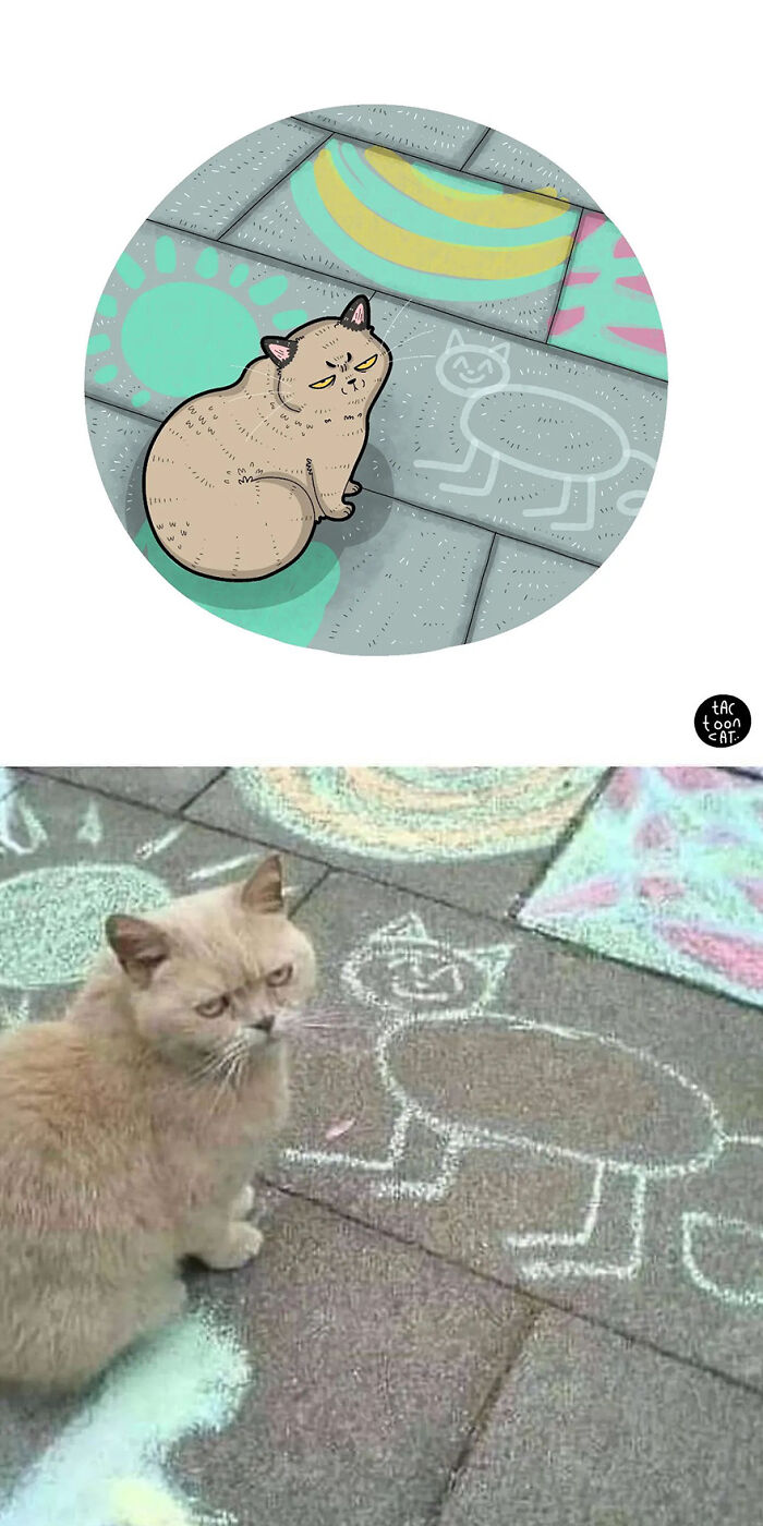 35 Already Famous Internet Pics Get Transformed Into Even Funnier Cartoons By Tactooncat (New Pics) 35 Already Famous Internet Pics Get Transformed Into Even Funnier Cartoons By Tactooncat (New Pics)