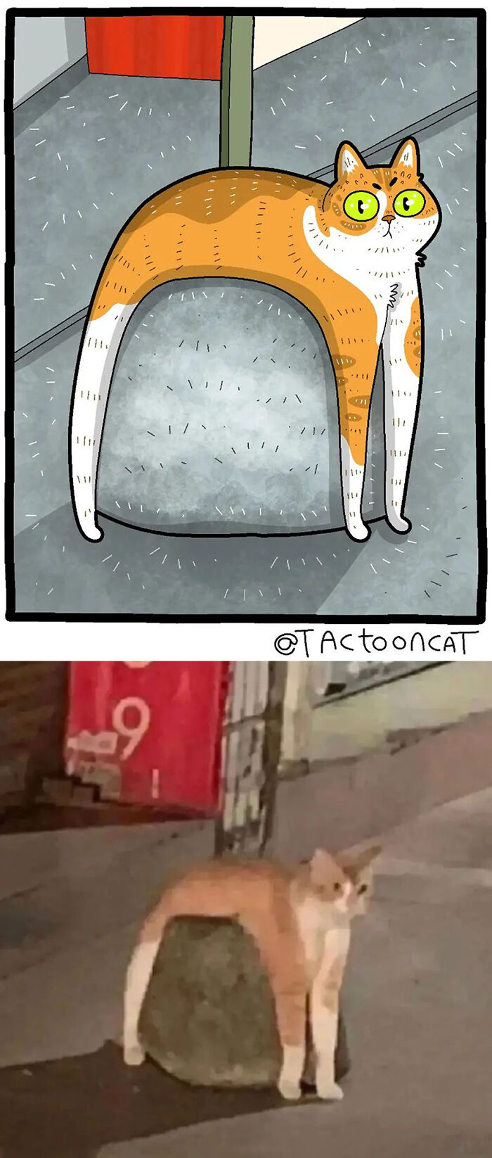 35 Already Famous Internet Pics Get Transformed Into Even Funnier Cartoons By Tactooncat (New Pics) 35 Already Famous Internet Pics Get Transformed Into Even Funnier Cartoons By Tactooncat (New Pics)