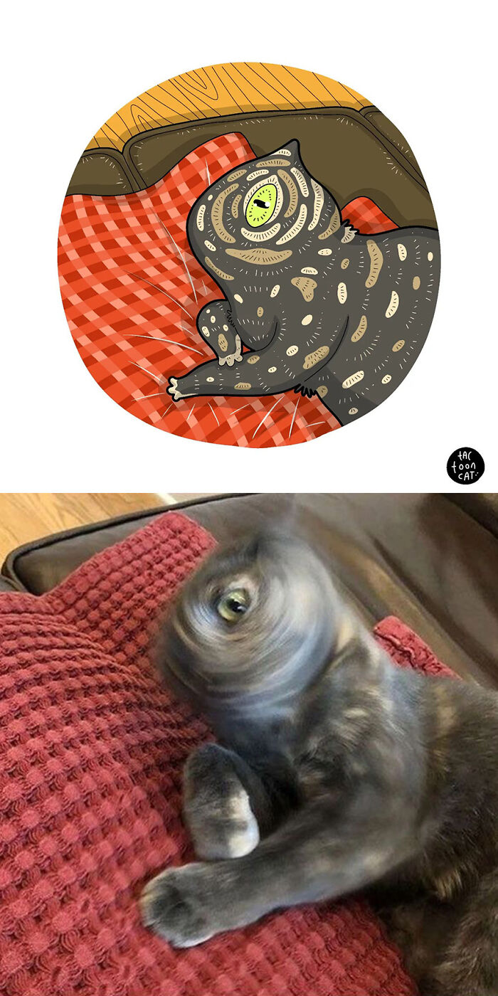 35 Already Famous Internet Pics Get Transformed Into Even Funnier Cartoons By Tactooncat (New Pics) 35 Already Famous Internet Pics Get Transformed Into Even Funnier Cartoons By Tactooncat (New Pics)