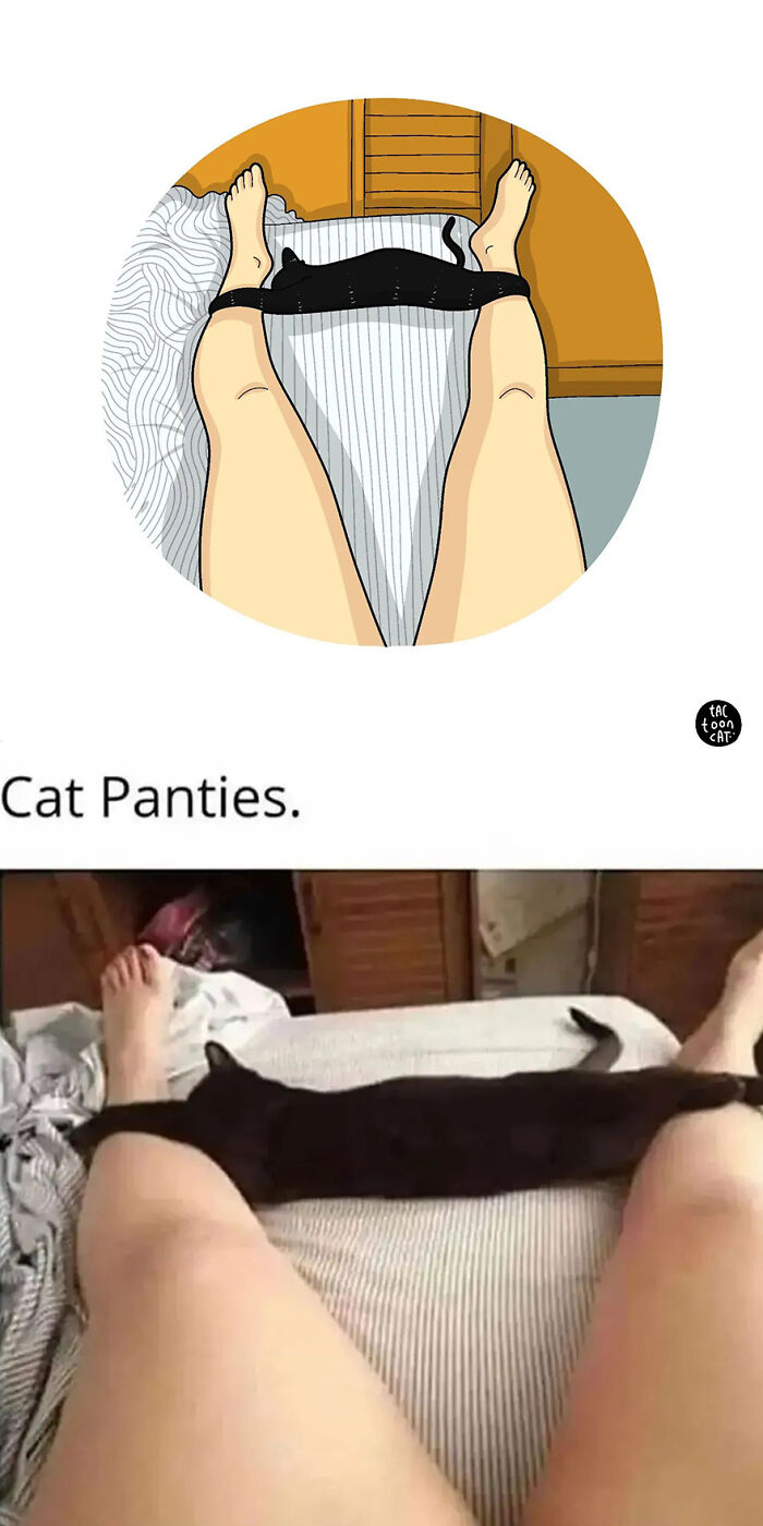 35 Already Famous Internet Pics Get Transformed Into Even Funnier Cartoons By Tactooncat (New Pics) 35 Already Famous Internet Pics Get Transformed Into Even Funnier Cartoons By Tactooncat (New Pics)