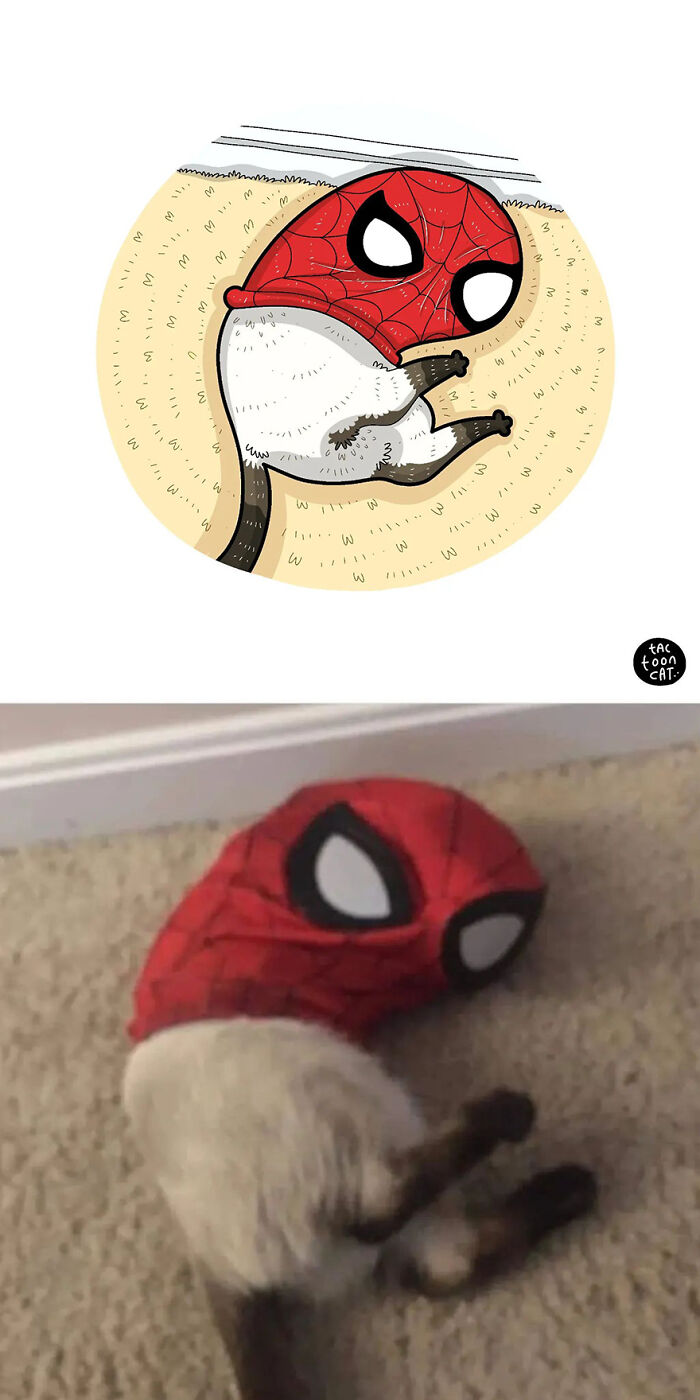 35 Already Famous Internet Pics Get Transformed Into Even Funnier Cartoons By Tactooncat (New Pics) 35 Already Famous Internet Pics Get Transformed Into Even Funnier Cartoons By Tactooncat (New Pics)