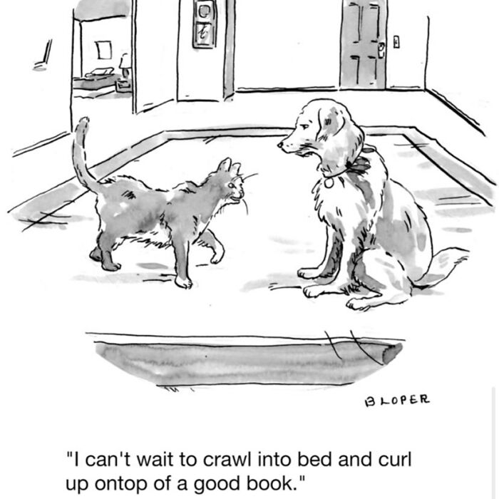 40 Cartoons Showcasing The Brutal Truths About Modern Society By The Artist Brendan Loper 40 Cartoons Showcasing The Brutal Truths About Modern Society By The Artist Brendan Loper