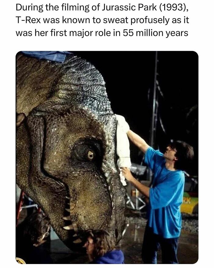 50 Funny, Relatable, And Just Silly Memes From This Instagram Account 50 Funny, Relatable, And Just Silly Memes From This Instagram Account