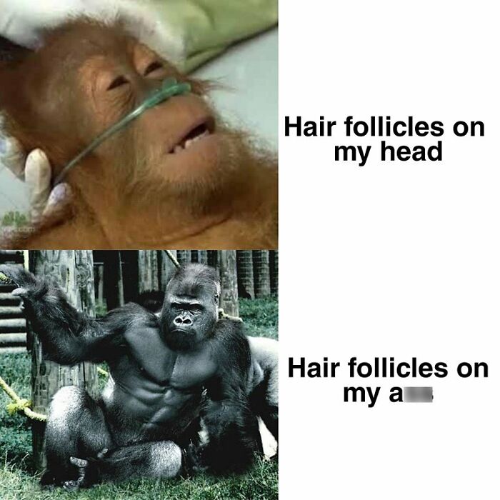 50 Funny, Relatable, And Just Silly Memes From This Instagram Account 50 Funny, Relatable, And Just Silly Memes From This Instagram Account