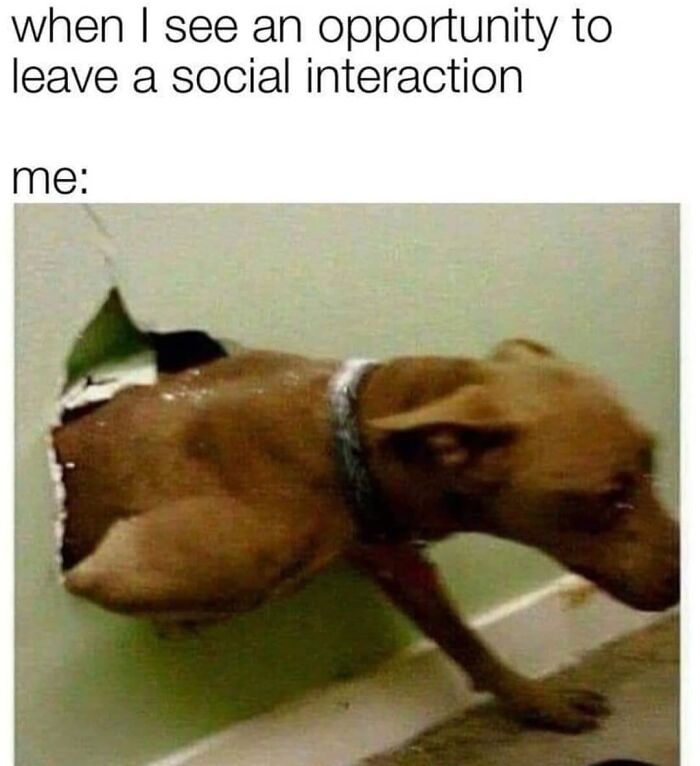 50 Funny And Relatable Memes To Send To Your Socially Awkward Friends 50 Funny And Relatable Memes To Send To Your Socially Awkward Friends