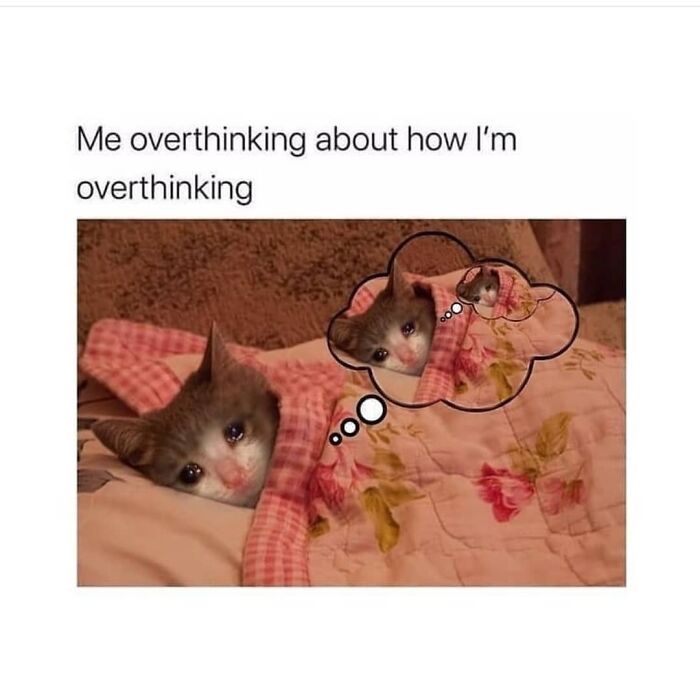 50 Funny And Relatable Memes To Send To Your Socially Awkward Friends 50 Funny And Relatable Memes To Send To Your Socially Awkward Friends