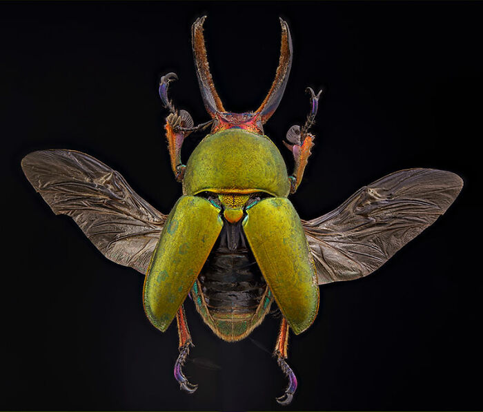 The EISA Maestro Awards 2023: Explore The Beauty Of “The Animal Kingdom” Through 29 Captivating Photos