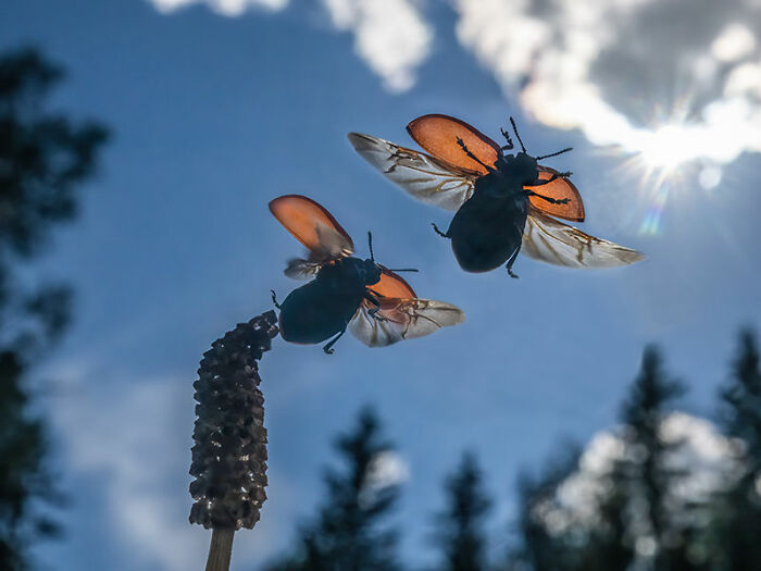 The EISA Maestro Awards 2023: Explore The Beauty Of “The Animal Kingdom” Through 29 Captivating Photos