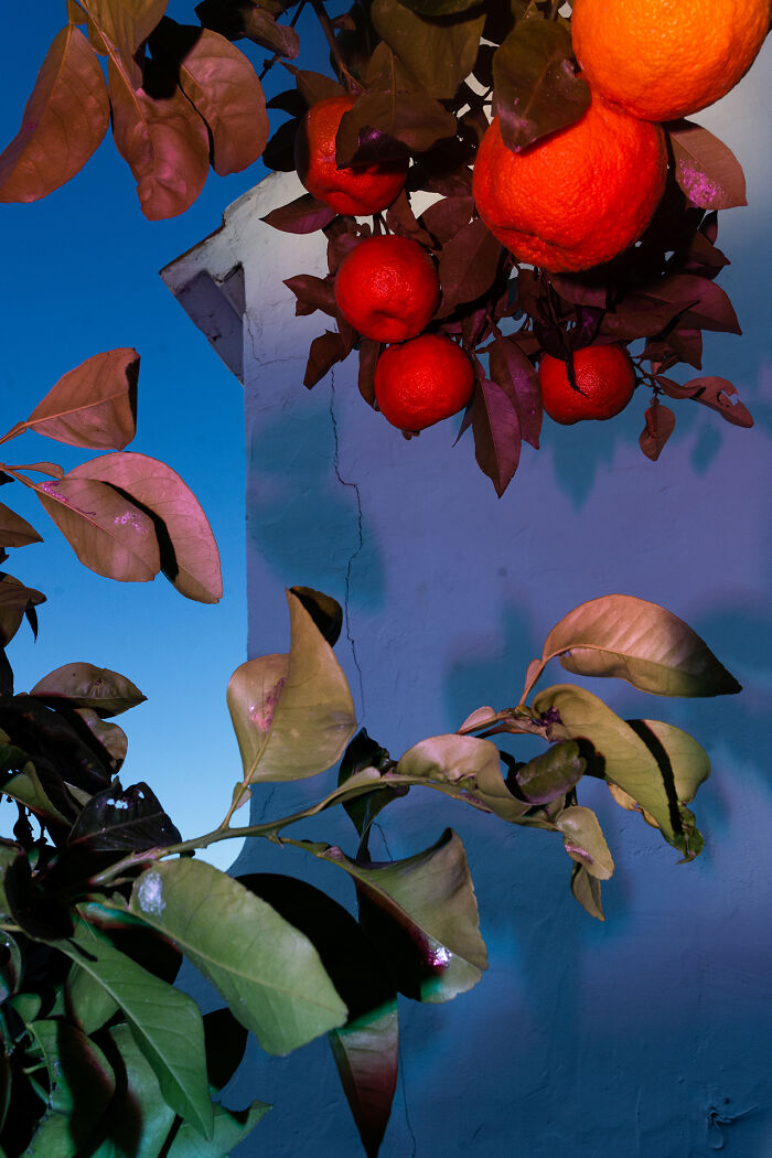 “Character Building”: A Photographic Odyssey That Delves Into The Intricate Tapestry Of My Personal History (40 Pics) “Character Building”: A Photographic Odyssey That Delves Into The Intricate Tapestry Of My Personal History (40 Pics)