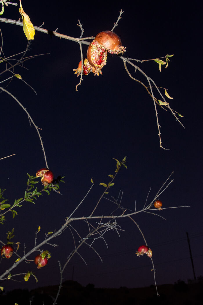 “Character Building”: A Photographic Odyssey That Delves Into The Intricate Tapestry Of My Personal History (40 Pics) “Character Building”: A Photographic Odyssey That Delves Into The Intricate Tapestry Of My Personal History (40 Pics)