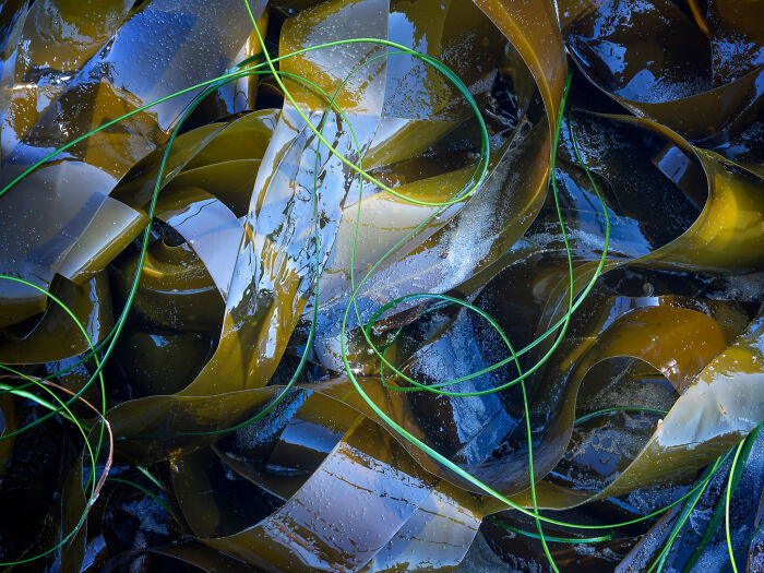 Best Natural Landscape Photos: Winners Of The Year 2023 Have Been Announced Best Natural Landscape Photos: Winners Of The Year 2023 Have Been Announced