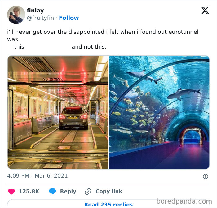 50 Funny British Memes To Crack You Up 50 Funny British Memes To Crack You Up