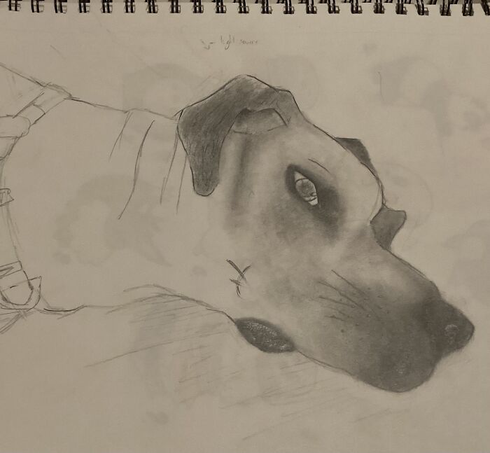 Taking A Look Through My Sketchbook (13 Pics)