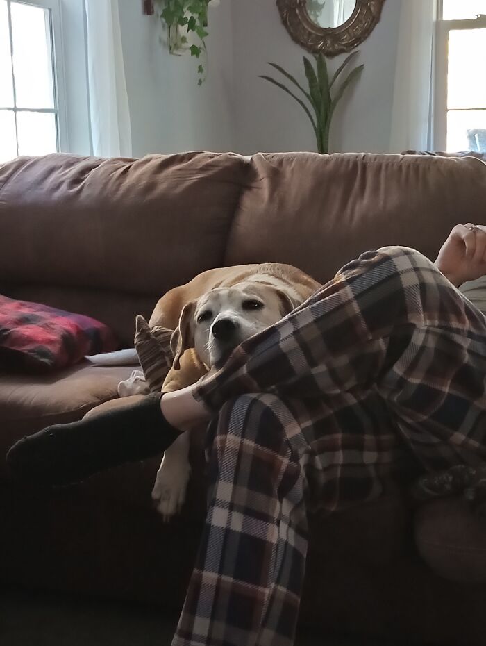 Hey Pandas, Show Me Something That’s Beautiful To You (Closed) Hey Pandas, Show Me Something That’s Beautiful To You (Closed)