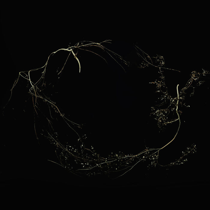 We Created A Mini Photography Series About Embracing Loss And Renewal (10 Pics) We Created A Mini Photography Series About Embracing Loss And Renewal (10 Pics)