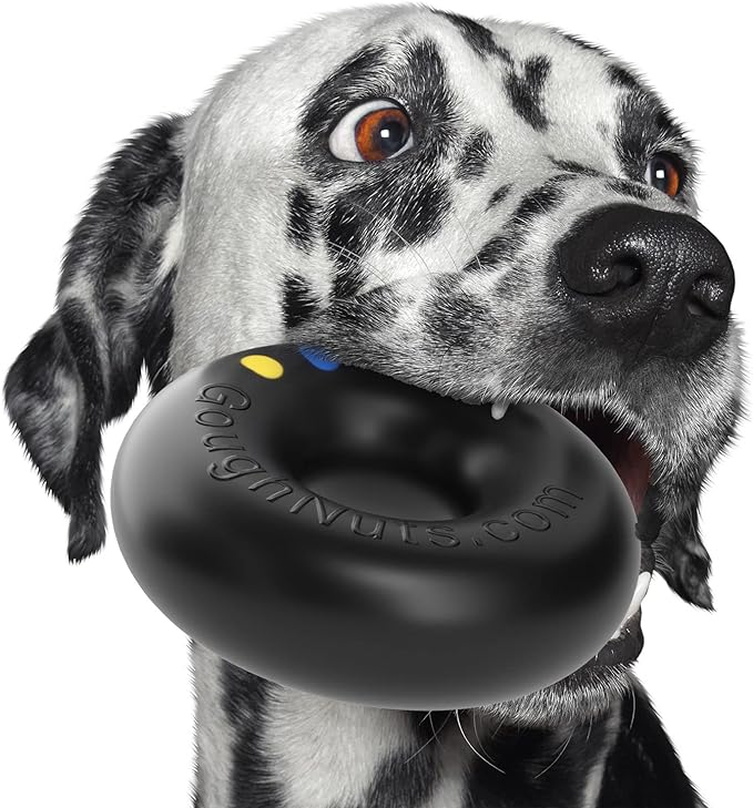 Enriching 10 Toys for Dogs Who Love to Shred