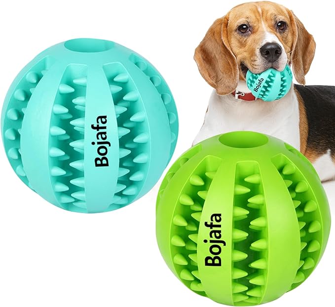 Enriching 10 Toys for Dogs Who Love to Shred