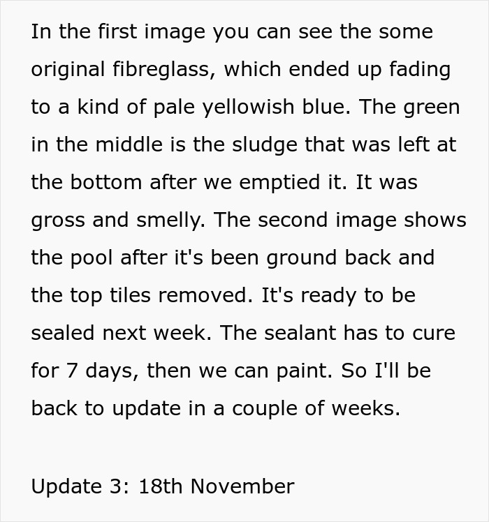 Person Wreaks Petty Revenge On Neighbor Who Kept Complaining About Their Pool By Painting It Green Person Wreaks Petty Revenge On Neighbor Who Kept Complaining About Their Pool By Painting It Green