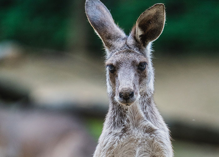 30 People Who Work In The Aviation Industry Share The Craziest Things They Have Seen 30 People Who Work In The Aviation Industry Share The Craziest Things They Have Seen