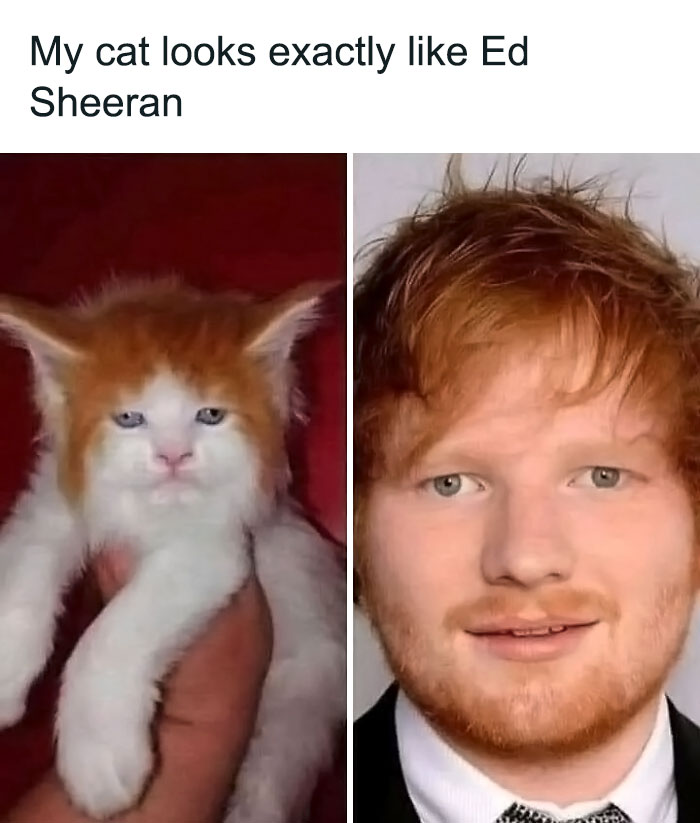 “Pics That Go Hard”: 30 Images That Aren’t For The Fainthearted, As Shared On This X Page